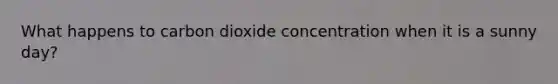 What happens to carbon dioxide concentration when it is a sunny day?