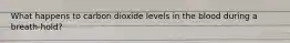 What happens to carbon dioxide levels in the blood during a breath-hold?