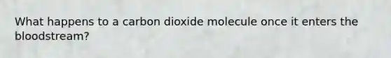 What happens to a carbon dioxide molecule once it enters <a href='https://www.questionai.com/knowledge/k7oXMfj7lk-the-blood' class='anchor-knowledge'>the blood</a>stream?