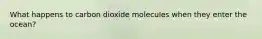 What happens to carbon dioxide molecules when they enter the ocean?