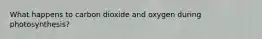 What happens to carbon dioxide and oxygen during photosynthesis?