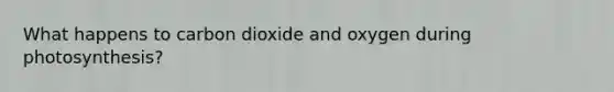 What happens to carbon dioxide and oxygen during photosynthesis?