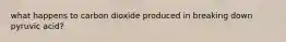 what happens to carbon dioxide produced in breaking down pyruvic acid?