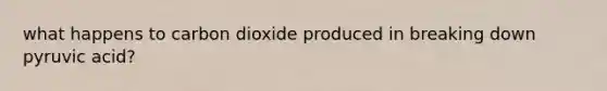 what happens to carbon dioxide produced in breaking down pyruvic acid?