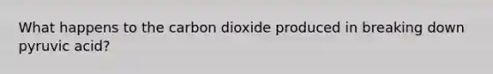 What happens to the carbon dioxide produced in breaking down pyruvic acid?