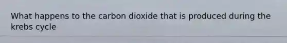 What happens to the carbon dioxide that is produced during the krebs cycle