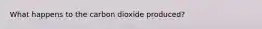 What happens to the carbon dioxide produced?