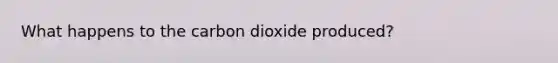 What happens to the carbon dioxide produced?