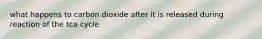 what happens to carbon dioxide after it is released during reaction of the tca cycle