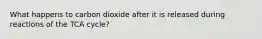 What happens to carbon dioxide after it is released during reactions of the TCA cycle?