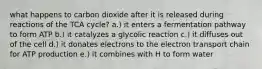 what happens to carbon dioxide after it is released during reactions of the TCA cycle? a.) it enters a fermentation pathway to form ATP b.) it catalyzes a glycolic reaction c.) it diffuses out of the cell d.) it donates electrons to the electron transport chain for ATP production e.) it combines with H to form water