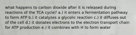 what happens to carbon dioxide after it is released during reactions of the TCA cycle? a.) it enters a fermentation pathway to form ATP b.) it catalyzes a glycolic reaction c.) it diffuses out of the cell d.) it donates electrons to <a href='https://www.questionai.com/knowledge/k57oGBr0HP-the-electron-transport-chain' class='anchor-knowledge'>the electron transport chain</a> for <a href='https://www.questionai.com/knowledge/kQXM5vFKbG-atp-production' class='anchor-knowledge'>atp production</a> e.) it combines with H to form water