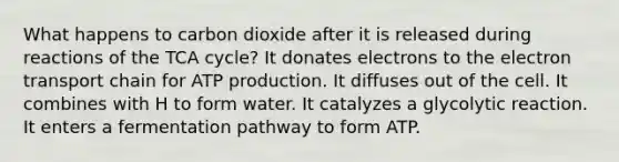 What happens to carbon dioxide after it is released during reactions of the TCA cycle? It donates electrons to <a href='https://www.questionai.com/knowledge/k57oGBr0HP-the-electron-transport-chain' class='anchor-knowledge'>the electron transport chain</a> for <a href='https://www.questionai.com/knowledge/kQXM5vFKbG-atp-production' class='anchor-knowledge'>atp production</a>. It diffuses out of the cell. It combines with H to form water. It catalyzes a glycolytic reaction. It enters a fermentation pathway to form ATP.