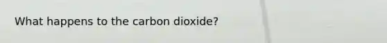 What happens to the carbon dioxide?