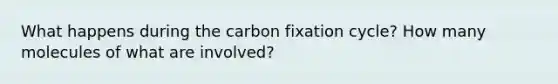 What happens during the carbon fixation cycle? How many molecules of what are involved?