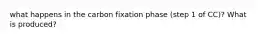 what happens in the carbon fixation phase (step 1 of CC)? What is produced?