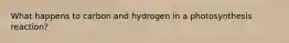 What happens to carbon and hydrogen in a photosynthesis reaction?