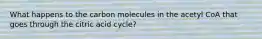 What happens to the carbon molecules in the acetyl CoA that goes through the citric acid cycle?