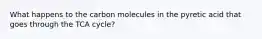 What happens to the carbon molecules in the pyretic acid that goes through the TCA cycle?