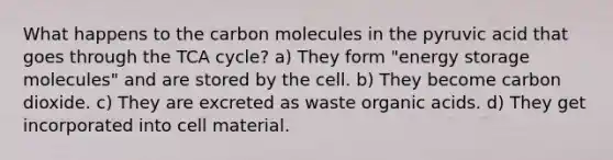 What happens to the carbon molecules in the pyruvic acid that goes through the TCA cycle? a) They form "energy storage molecules" and are stored by the cell. b) They become carbon dioxide. c) They are excreted as waste organic acids. d) They get incorporated into cell material.