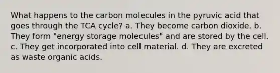 What happens to the carbon molecules in the pyruvic acid that goes through the TCA cycle? a. They become carbon dioxide. b. They form "energy storage molecules" and are stored by the cell. c. They get incorporated into cell material. d. They are excreted as waste organic acids.