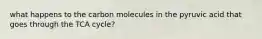 what happens to the carbon molecules in the pyruvic acid that goes through the TCA cycle?