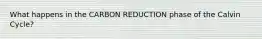 What happens in the CARBON REDUCTION phase of the Calvin Cycle?