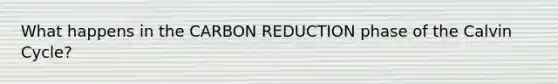 What happens in the CARBON REDUCTION phase of the Calvin Cycle?