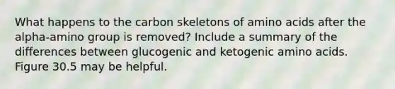 What happens to the carbon skeletons of amino acids after the alpha-amino group is removed? Include a summary of the differences between glucogenic and ketogenic amino acids. Figure 30.5 may be helpful.