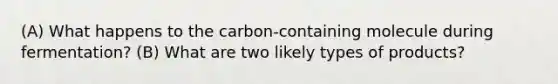 (A) What happens to the carbon-containing molecule during fermentation? (B) What are two likely types of products?