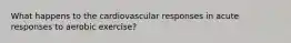 What happens to the cardiovascular responses in acute responses to aerobic exercise?