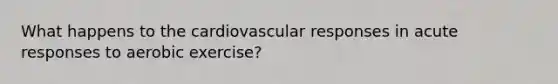 What happens to the cardiovascular responses in acute responses to aerobic exercise?