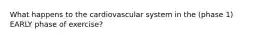 What happens to the cardiovascular system in the (phase 1) EARLY phase of exercise?