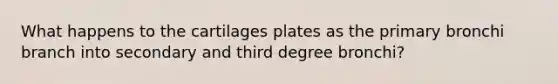 What happens to the cartilages plates as the primary bronchi branch into secondary and third degree bronchi?