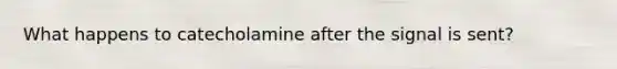 What happens to catecholamine after the signal is sent?