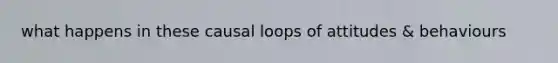 what happens in these causal loops of attitudes & behaviours