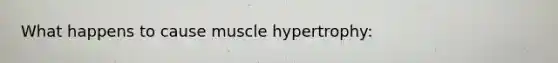 What happens to cause muscle hypertrophy: