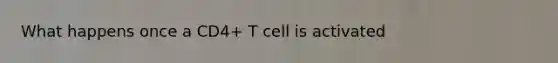 What happens once a CD4+ T cell is activated