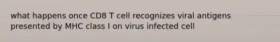 what happens once CD8 T cell recognizes viral antigens presented by MHC class I on virus infected cell