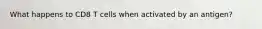 What happens to CD8 T cells when activated by an antigen?