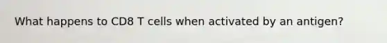 What happens to CD8 T cells when activated by an antigen?