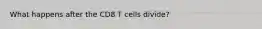 What happens after the CD8 T cells divide?