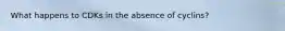 What happens to CDKs in the absence of cyclins?