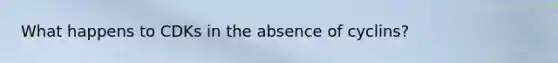 What happens to CDKs in the absence of cyclins?