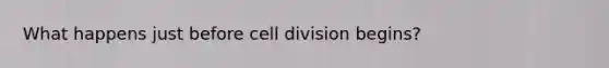 What happens just before cell division begins?