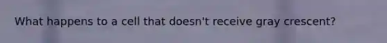 What happens to a cell that doesn't receive gray crescent?