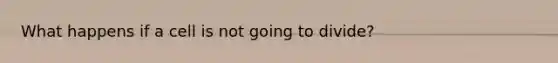 What happens if a cell is not going to divide?