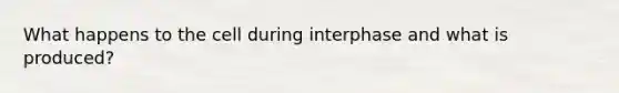 What happens to the cell during interphase and what is produced?