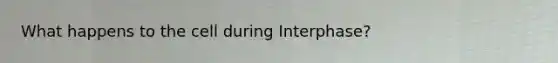 What happens to the cell during Interphase?