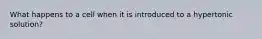 What happens to a cell when it is introduced to a hypertonic solution?